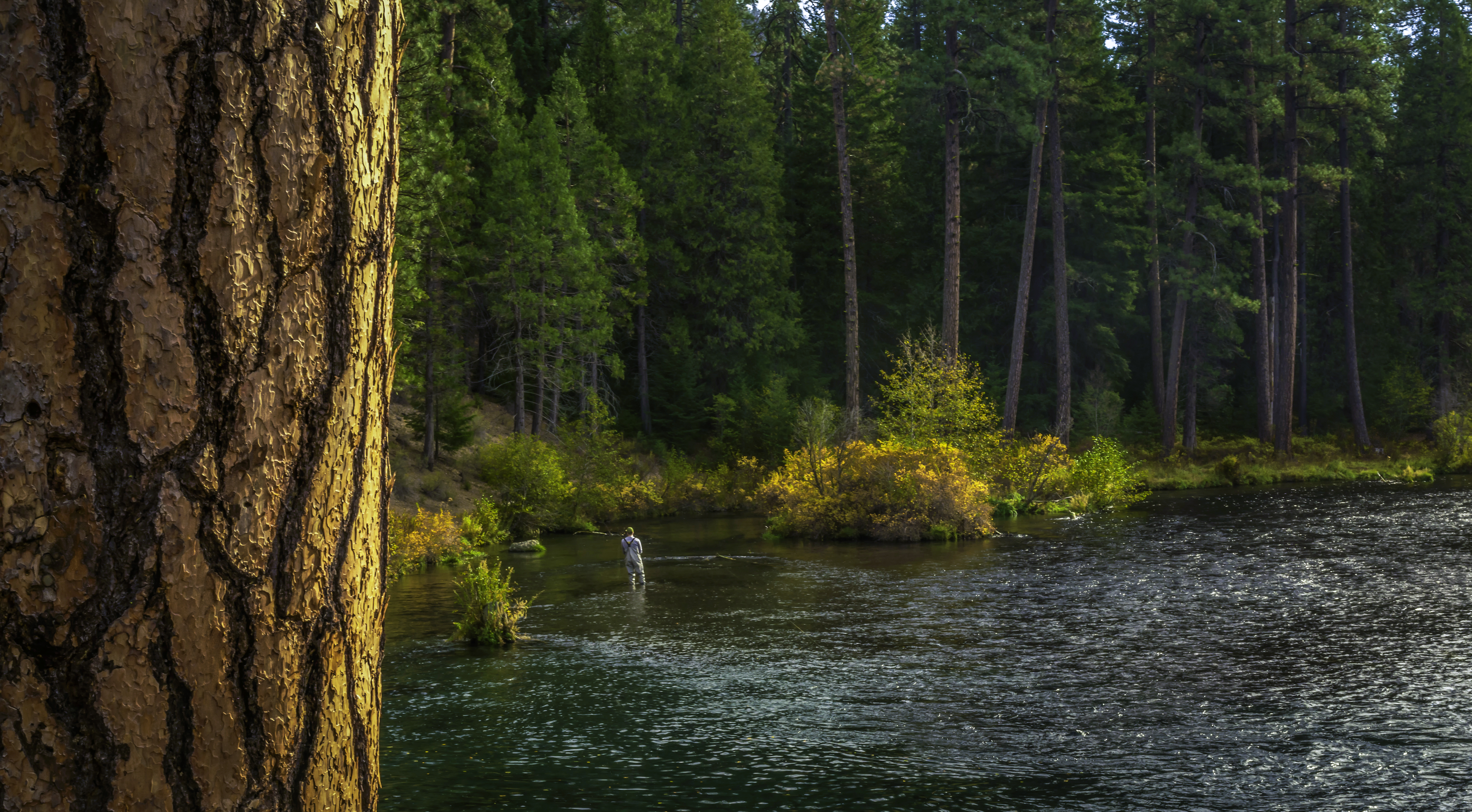 Metolius fishing.